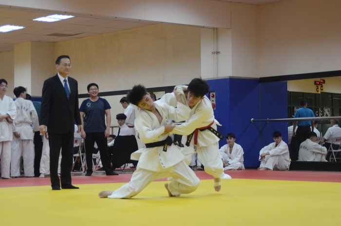 柔道施術過程（過肩摔）